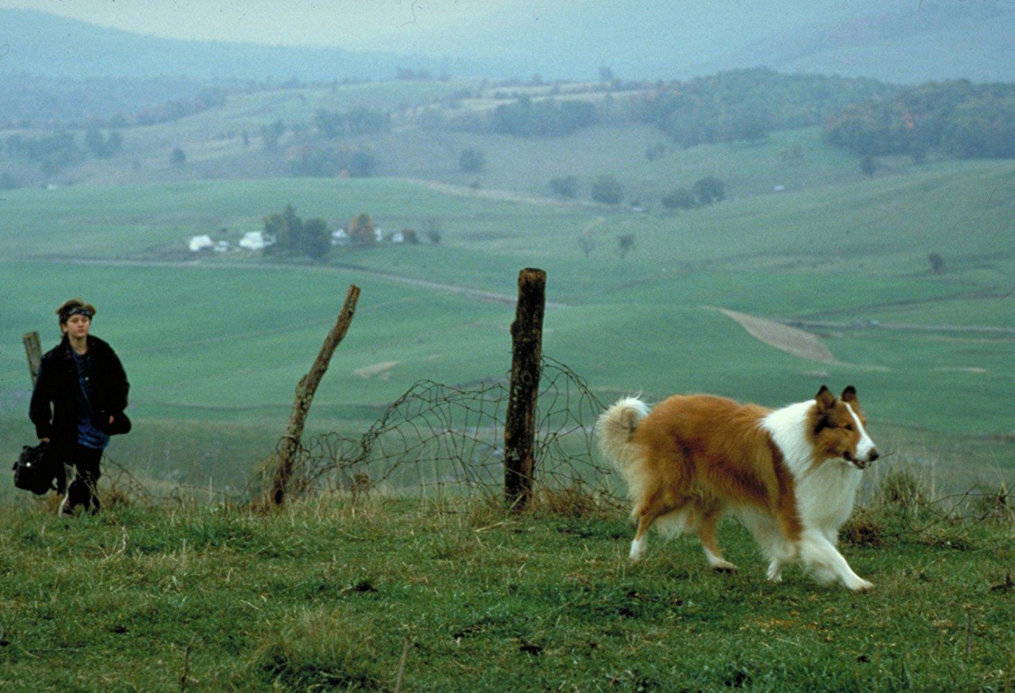 مشاهدة فيلم Lassie 2005 مترجم HD اون لاين
