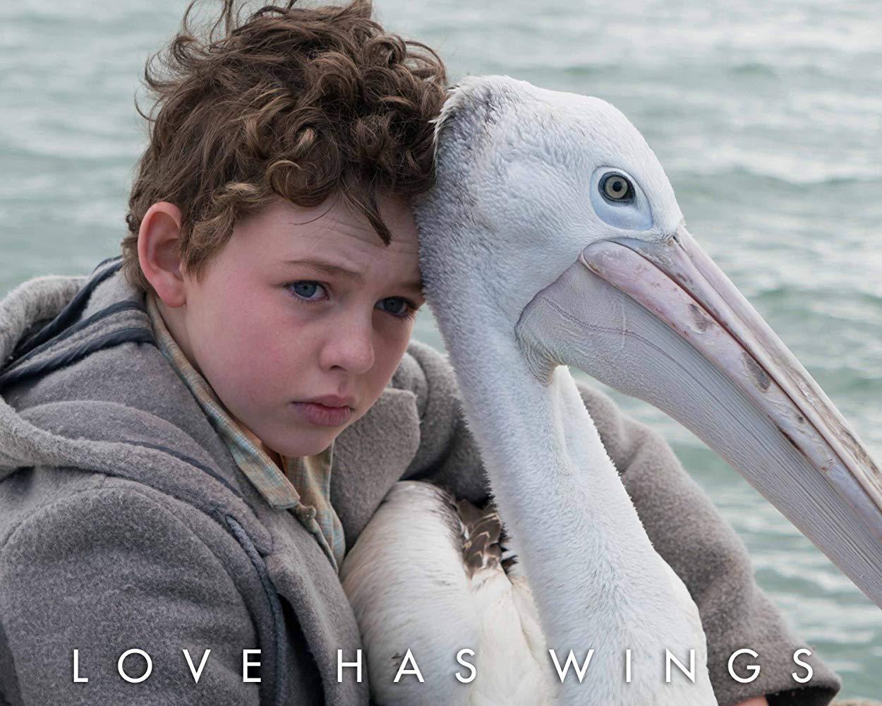 مشاهدة فيلم Storm Boy (2019) مترجم HD اون لاين