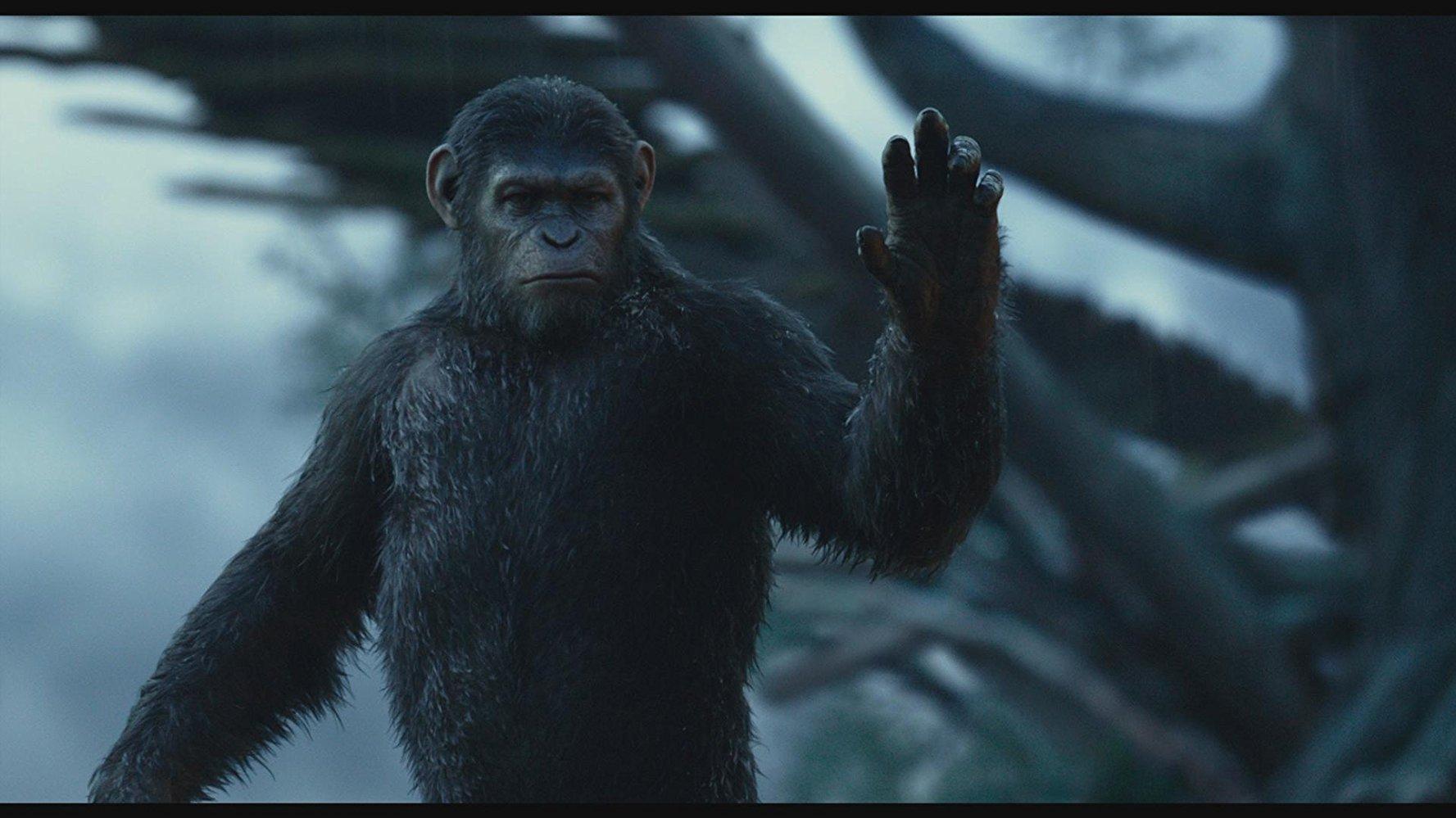 مشاهدة فيلم Dawn of the Planet of the Apes 2014 مترجم HD اون لاين