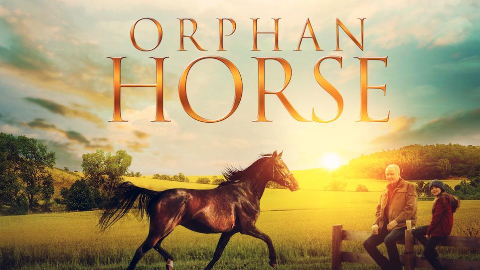 مشاهدة فيلم Orphan Horse (2018) مترجم HD اون لاين