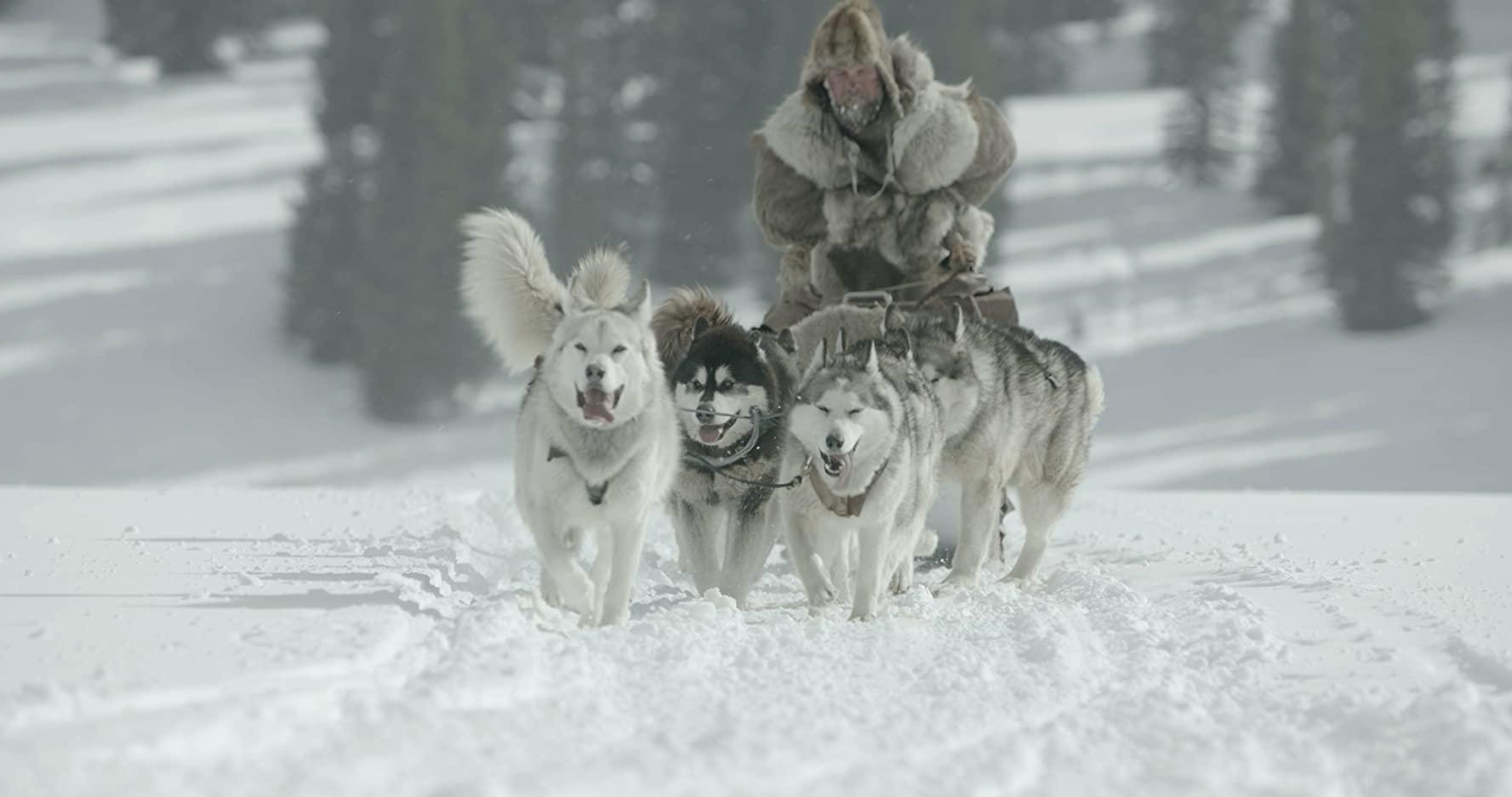مشاهدة فيلم The Great Alaskan Race (2019) مترجم HD اون لاين