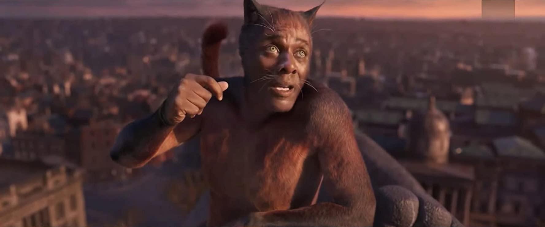 مشاهدة فيلم Cats (2019) مترجم HD اون لاين