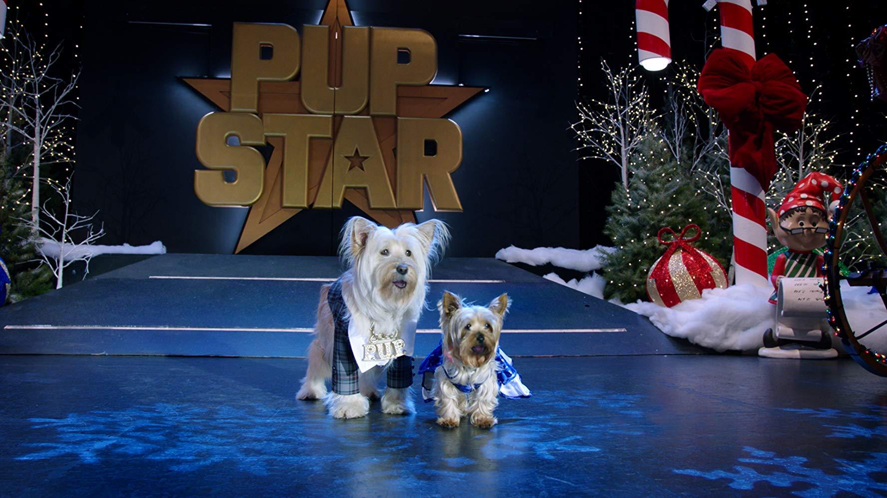 مشاهدة فيلم Puppy Star Christmas (2018) مترجم HD اون لاين