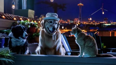مشاهدة فيلم Cats and Dogs 3 Paws Unite (2020) مترجم HD اون لاين