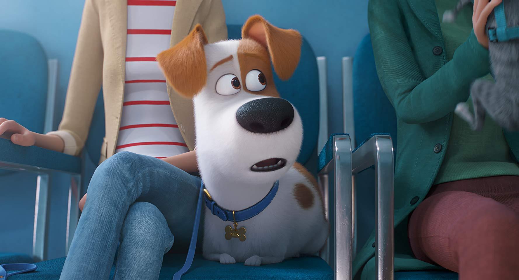 مشاهدة فيلم The Secret Life of Pets 2 (2019) مترجم HD اون لاين